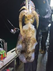 《통영에메랄드호》흔들리는 너울속에서 팁런조황 사진