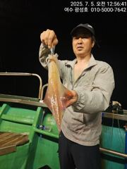 <여수광성호> 오늘도 야무진 한치조황!! 사진