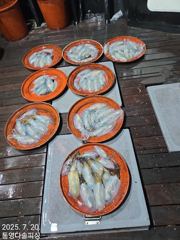 7/20[무늬캐스팅]조황*22일 오후12시 출항 자리여유~* 사진