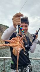 메가호8월3일문어소식 사진
