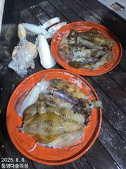 7일[팁런]시즌 4번째 백바리~ 사진