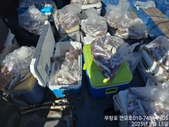 8월 15일 백조기 다녀왔습니다. 사진