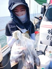8/28일 부세 백조기 오늘도 꾸준히 잘나옵니다!!!!! 30일 자리여유