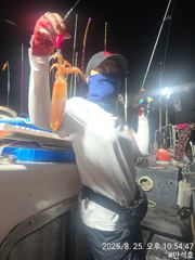 제주 애월권 한치낚시 체험 사진
