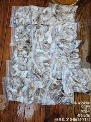 오늘두 꾸준히나와주네요250수에서418수했네요 고생들하셨어요 사진