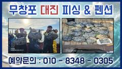 9월 2일 쭈꾸미 조황입니다! 사진