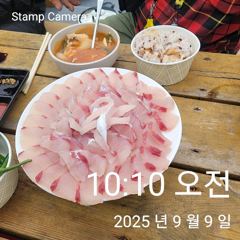 참돔부시리 마리수 조황입니다 사진