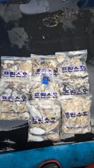 9월14일 오천프린스호 쭈갑조황 사진