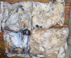 9월15일 선호 사진