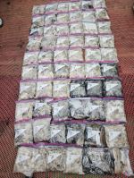 9월 17일먹물조황 사진