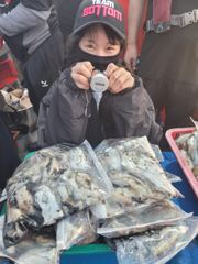 갑오징어 여신의 184마리 굿조항
