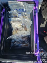 30일 해복호 갑오징어조항입니다. 사진