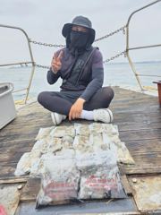 쭈꾸미 갑오징어 조황입니다