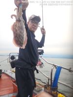 쭈갑조황 글만 보기 사진