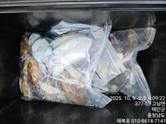 10월9일해복호조항입니다 사진