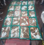 10월 12일 조황~!! 사진