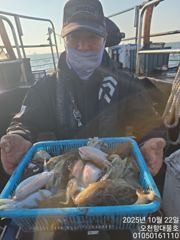 10/22일 오천대물호 갑오징어 다녀왔습니다 사진