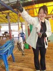 10.25 성호좌대 조황소식 사진