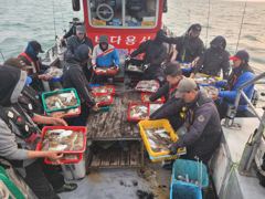 10월26일 갑오징어 대박조항
