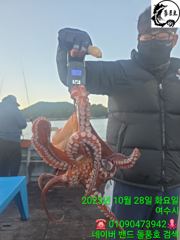 문어마릿수 이벤트 진행합니다 사진