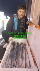 통영돼지갈치 11/3(월)~4일 조황입니다 사진
