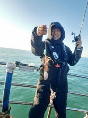 11/14 홍원항 뉴 지니피싱호 쭈꾸미 갑오징어 사진