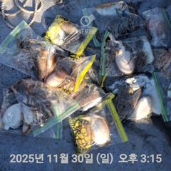 여수 투에스호 11월 30일 조황 사진