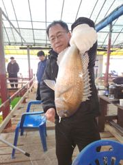 12.6 성호좌대 조황소식 사진