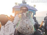 쭈갑조황 글만 보기 사진