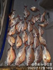 18일 참돔 타이라바 조황 사진