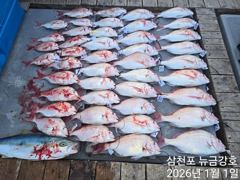 뉴금강호)1월1일 새해 첫 타이라바출조다녀왔습니다!!! 사진