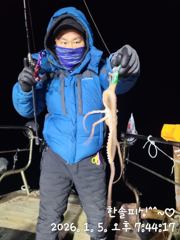 1월 5일 낙지 조황 (늦은 업뎃 지송해욥) 사진