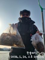 1월14일 쭈꾸미 조황 사진
