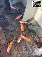 대박호 열기 실시간 사진