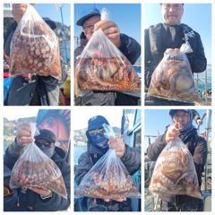 뉴금강호)3원14일 원도권 돌문어~~~ 사진