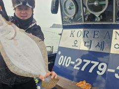 2026년3월22일 첫출조 광어.우럭 다운샷 조황 입니다 사진