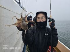 3월28일 알쭈꾸미조황입니다~ 사진