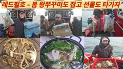 4월도 봄왕쭈꾸미낚시는 계속됩니다. 사진