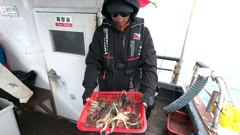 피싱매니아 2026년4월3일 봄쭈꾸미 조황입니다 사진