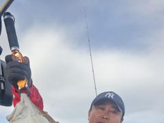 4월24일 오천항  오디세이호 대광어 다운샷 조황 입니다 사진