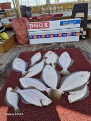 4월25일  대광어 출조 조황입니다 ~^^ 여기저기서  히트.히트.ㅎㅎㅎ 오늘도 조사님들 열낚하시느라 고생하셨습니다 ????낼  또  힛트  합시당^^감사합니다 ❤️ 사진
