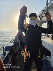 4월25일 뉴나성호 봄쭈꾸미 조황 사진