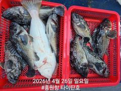 4월26일(일) [홍원항타이탄호] 생새우외수질 조황정보!!! 사진