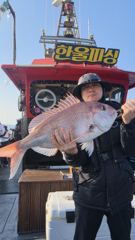 2026년 첫 참돔 주인공^^ 사진