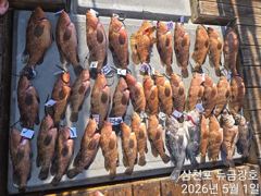 5월1일 바람~~똥바람ㅠㅠㅠ 사진
