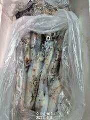 ★ 5월 2일(토)  한치이카메탈 조황 ㅡ30미터권까지 부상이 되었어요 곧 청기백기도 가능하겠다는 생각이 드네요 ㅡ 5일(화)부터 출조합니다 사진