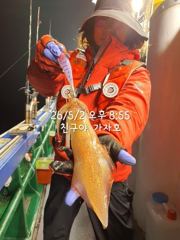 친구야가자호))5월3일 한치입항소식 사진