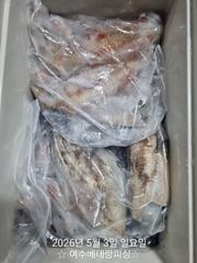 한치   슬슬  나오기  시작했습니다.  30~40미터까지   부상하여  먹이  활동을  하고  있습니다.   이번주  기상도  좋고  물때도  아주  좋습니다.  한치  터질때  되었습니다.  이번주  한치  함께  대박   터트리러   가봅시다.  감사합니다  사진