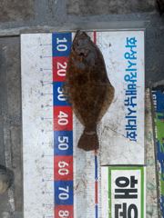 [해운호] 05월 09일 조황입니다.