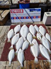 5월10일조황입니다~^^오늘도 고생 하셨습니다 ???? 사진